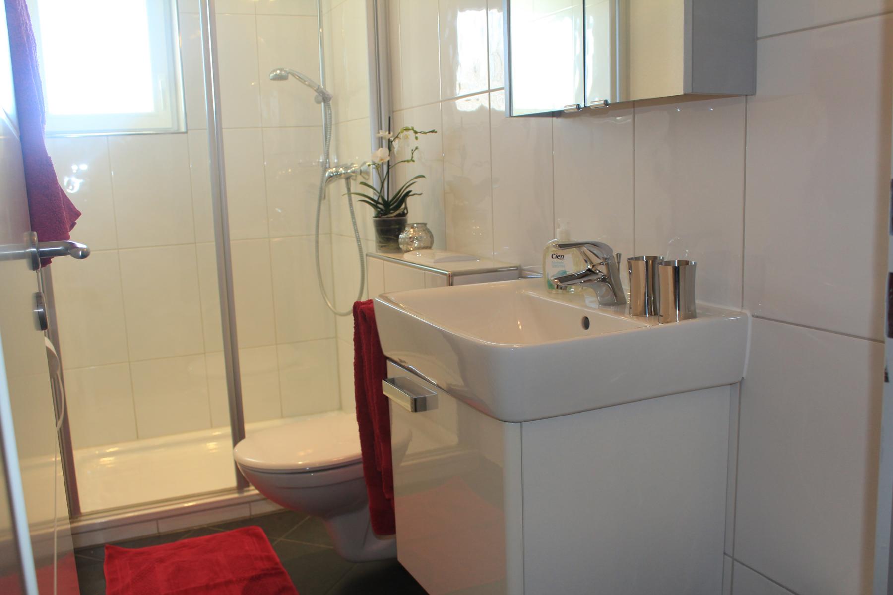 Dusche/WC/Waschbecken